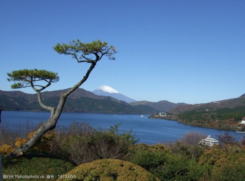松山湖芦湖小松迎富士图片